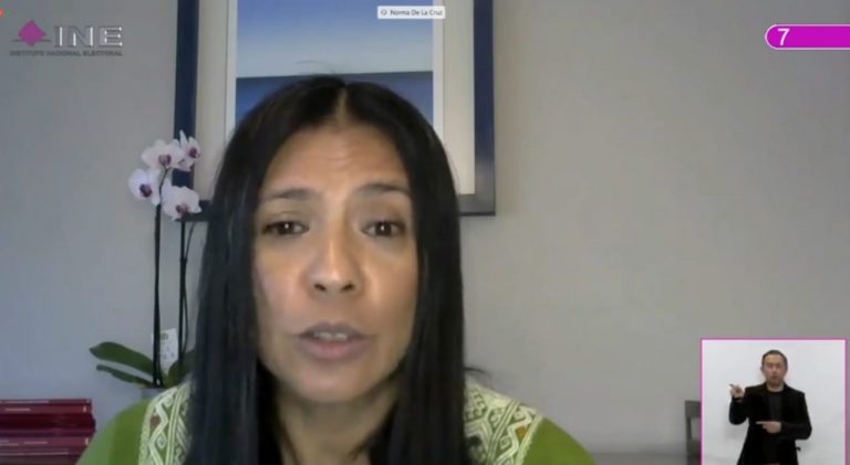 Norma Irene de la Cruz Magaña, Consejera Electoral.