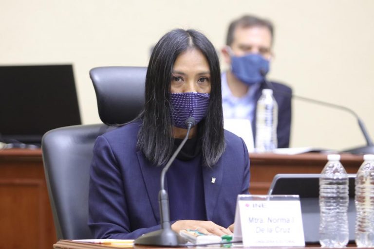 Norma Irene de la Cruz Magaña, Consejera Electoral.