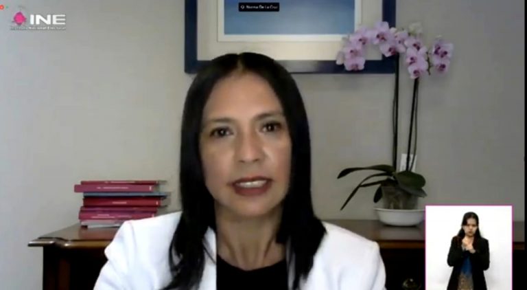 Norma Irene de la Cruz, Consejera Electoral del INE.