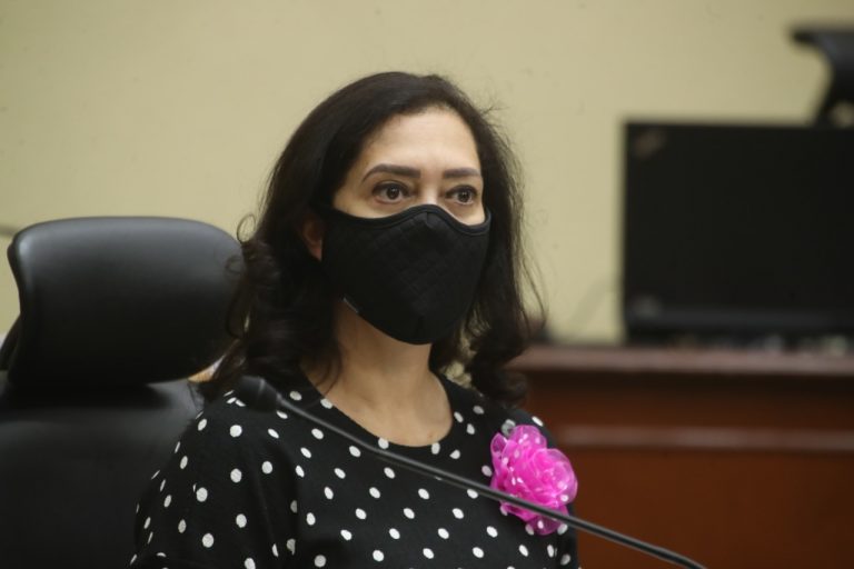 Adriana Favela Herrera, Consejera Electoral.