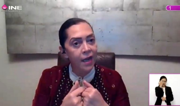 Adriana Favela Herrera, Consejera Electoral