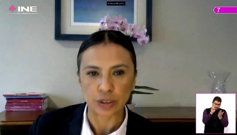 Norma Irene De la Cruz Magaña, Consejera Electoral