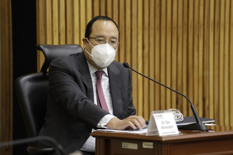 Ciro Murayama Rendón, Consejero Electoral.
