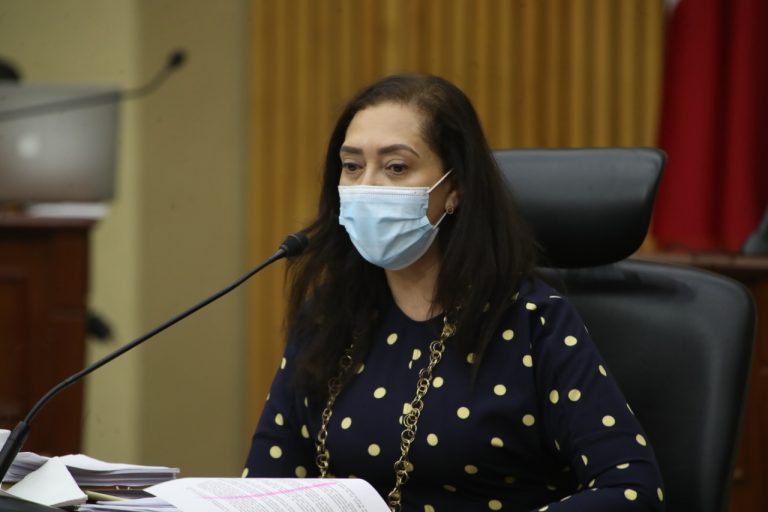 Adriana Favela Herrera, Consejera Electoral.