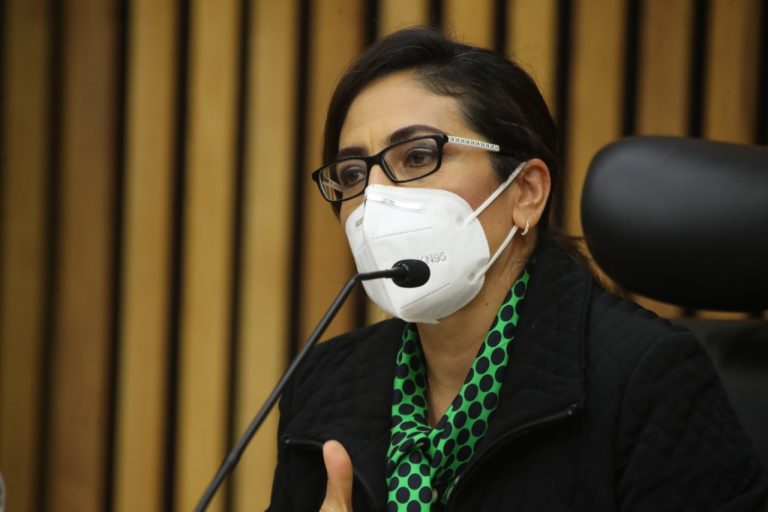 Claudia Zavala Pérez, Consejera Electoral.