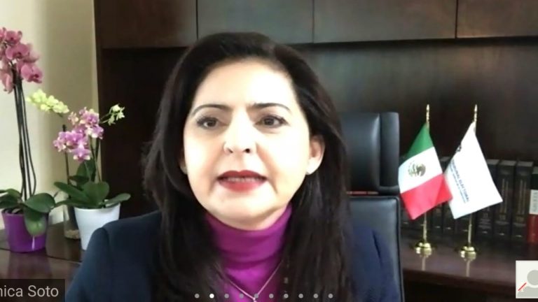 Mónica Soto Fregoso, Magistrada de la Sala Superior del TEPJF.