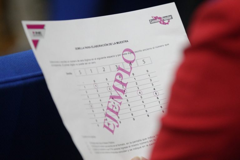 Ejemplo de Semilla para la elaboración de la muestra.