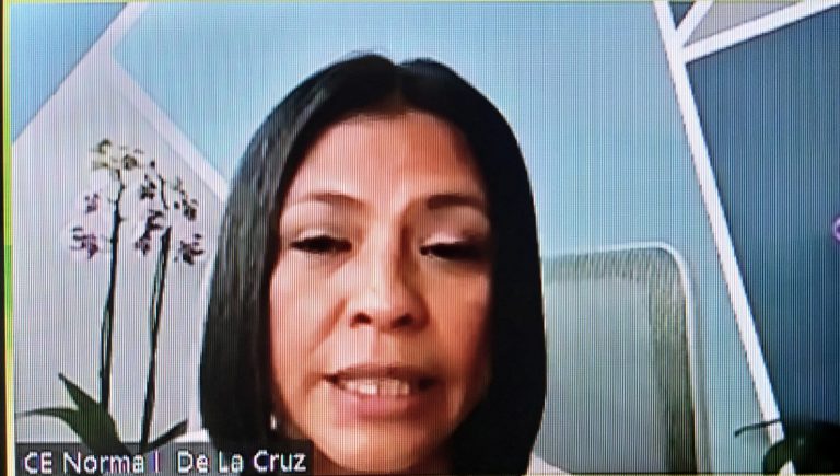 Norma Irene De La Cruz, Consejera Electoral del INE.