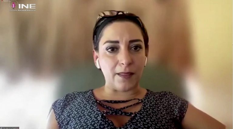 Marcela Ávila, Integrante del Comité técnico de evaluación del Fondo de Apoyo a la Observación Electoral.