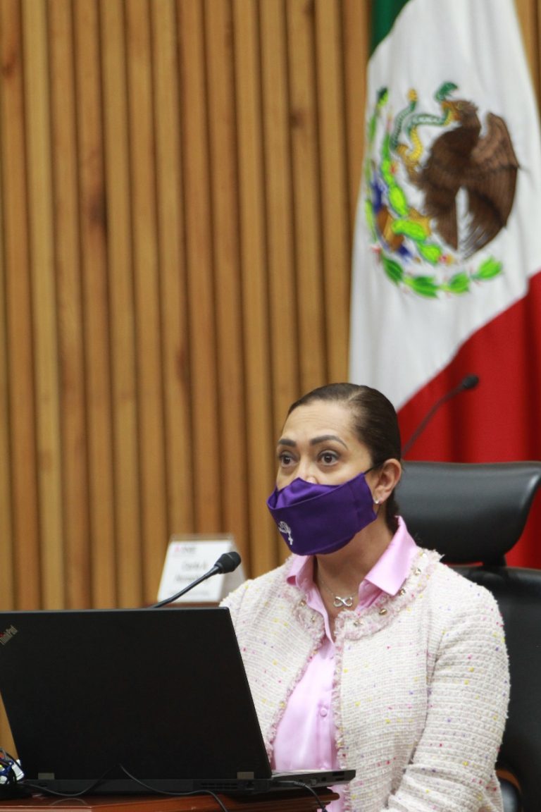 Adriana Favela Herrera, Consejera Electoral.