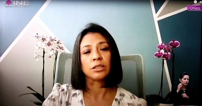 Norma Irene De La Cruz Magaña, Consejera Electoral.