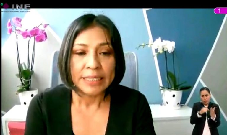 Norma Irene De La Cruz Magaña, Consejera Electoral.