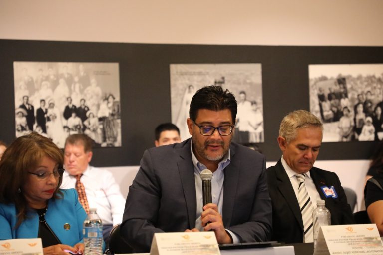 Presidente del TEPJF Reyes Rodríguez Mondragón