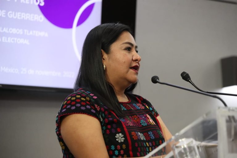 Dulce Merary Villalobos Tlatempa, Consejera Electoral del Instituto Electoral y de Participación Ciudadana del Estado de Guerrero y autora del artículo de Guerrero.