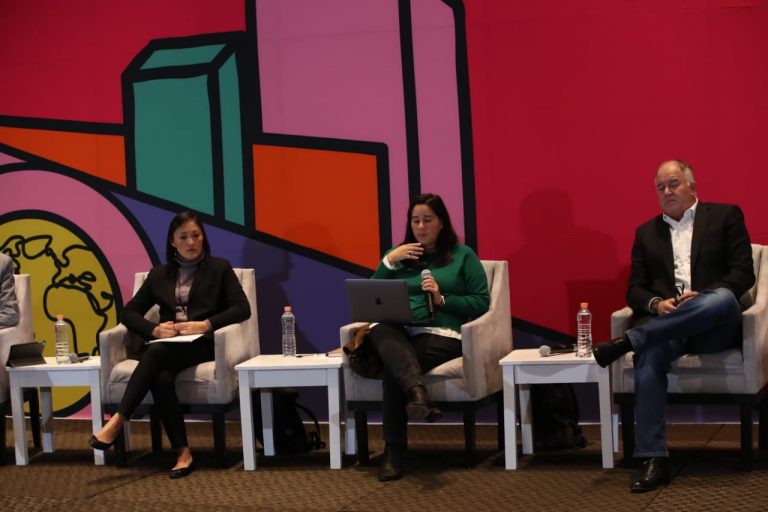 Mónica Meltis, Data Cívica.