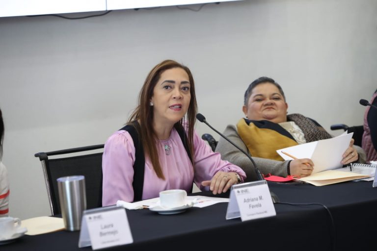 Adriana Favela Herrera, Consejera Electoral del INE