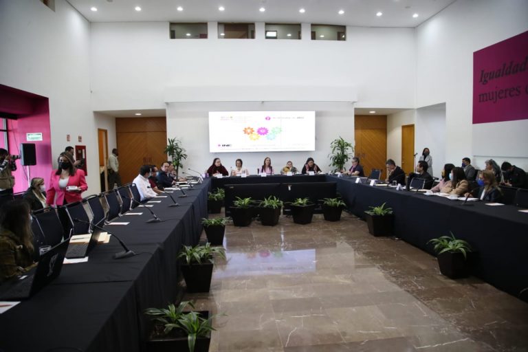 Mesa de Diálogo: La representación sustantiva de las personas con discapacidad.