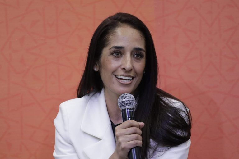 Mónica Maccise Duayhe, Autora de Democracia y discriminación.