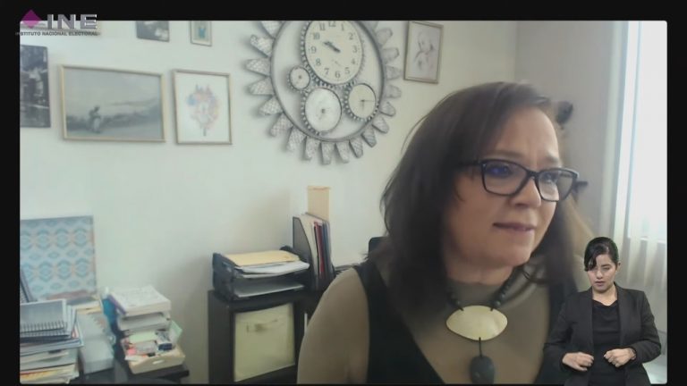 Sonia Gabriela Del Valle Lavín, Líder de Proyecto de Información en Educación Cívica y Género, INE.