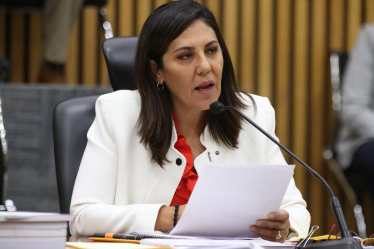 Claudia Zavala Pérez, Consejera Electoral.