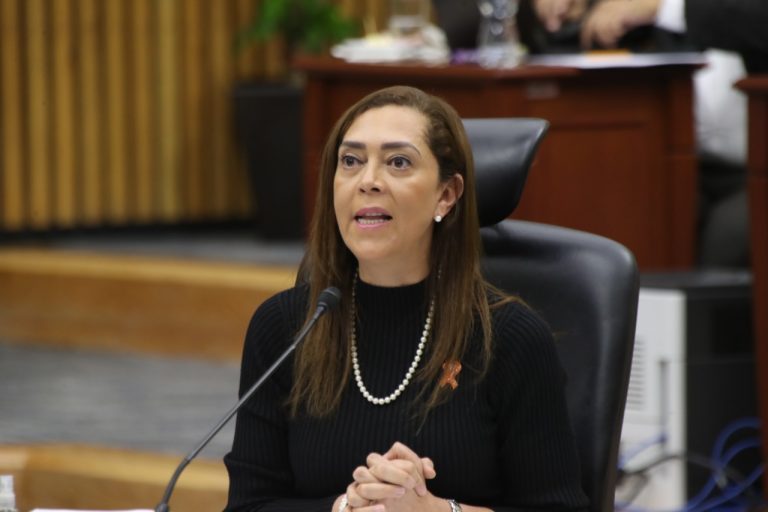 Adriana Favela Herrera, Consejera Electoral.