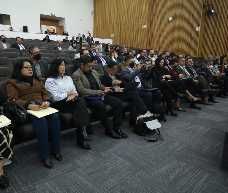 Como integrantes del Servicio Profesional Electoral, las y los vocales ejecutivos mostraron preocupación sobre las afectaciones que tendrían los cambios propuestos por la reforma en la organización de los procesos electorales.