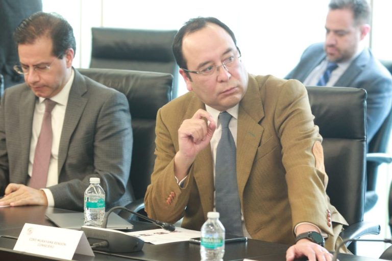 Ciro Murayama Rendón, Consejero Electoral del INE.