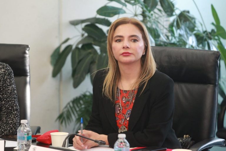 Carla Humphrey Jordan, Consejera Electoral del INE.