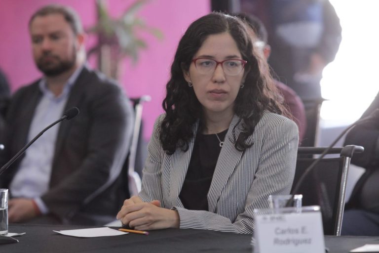 María Teresa Ortiz Mancera, Integrante del Comité Técnico Asesor de los conteos Rápidos 2023.