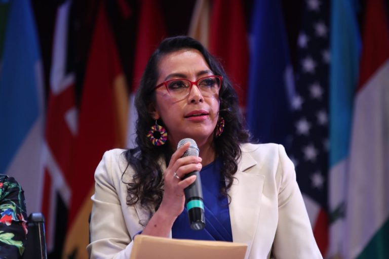 Claudia Isela Guzmán González, Presidenta del Instituto para el Desarrollo Democrático y la Competitividad Internacional.