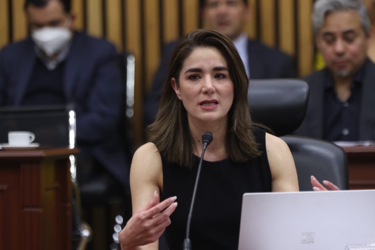 Dania Ravel Cuevas, Consejera Electoral.