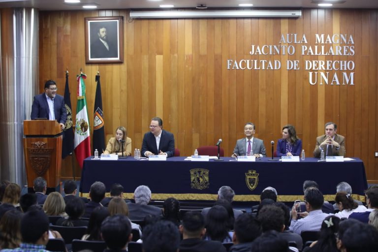 Reyes Rodríguez Mondragón, Magistrado Presidente del TEPJF.