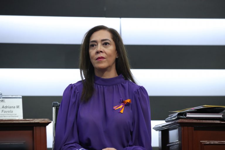 Adriana Favela Herrera, Consejera Electoral.