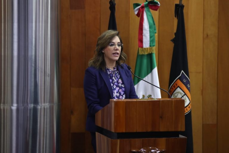 Blanca Lilia Ibarra Cadena, Comisonada Presidenta del INAI.