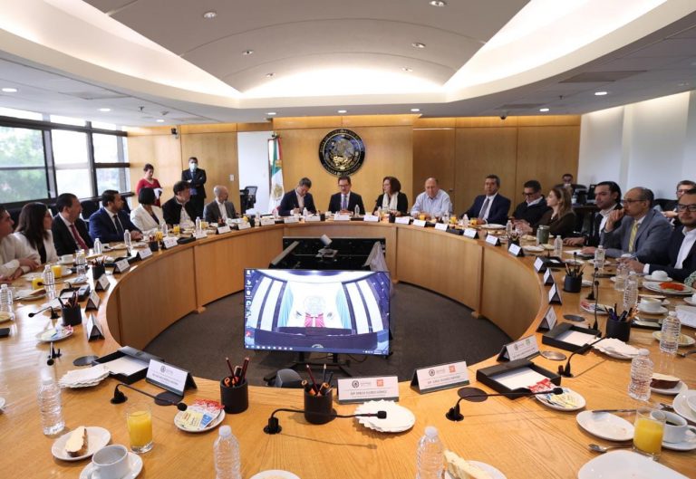 Reunión entre el INE y Grupos Parlamentarios de la Cámara de Diputados.