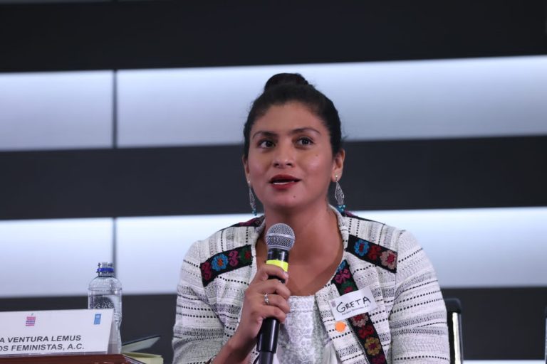 Greta Ventura, Representante de las OSC: Equipos Feministas, A. C.