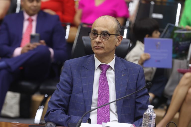 Martín Faz Mora, Consejero Electoral.