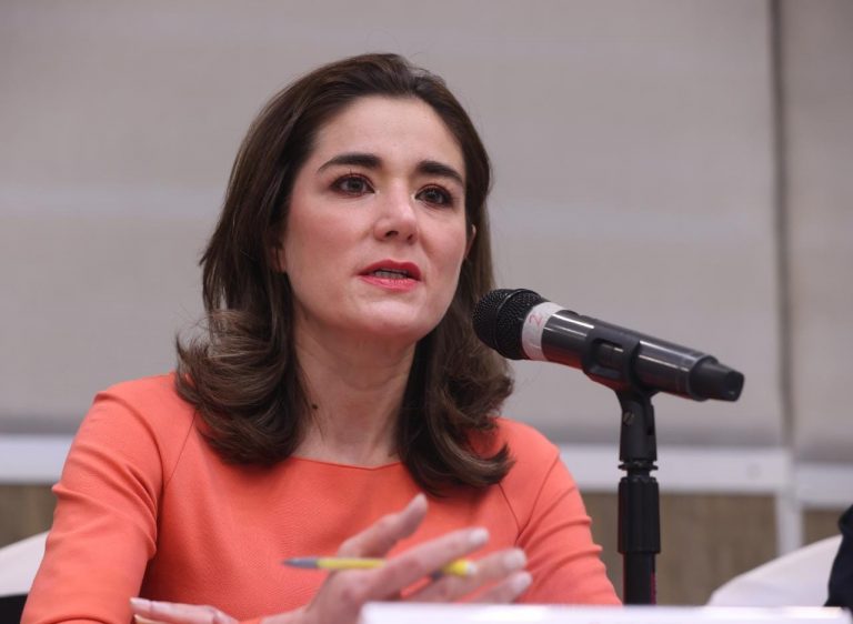 Dania Ravel Cuevas, Consejera Electoral del INE.