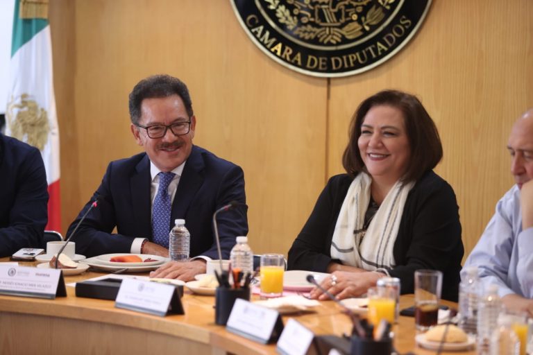 Ignacio Mier Velazco Diputado de MORENA y  Guadalupe Taddei Zavala Consejera Presidente del INE.
