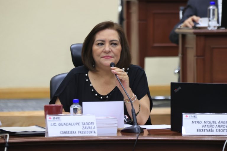 Guadalupe Taddei Zavala, Consejera presidenta del INE.
