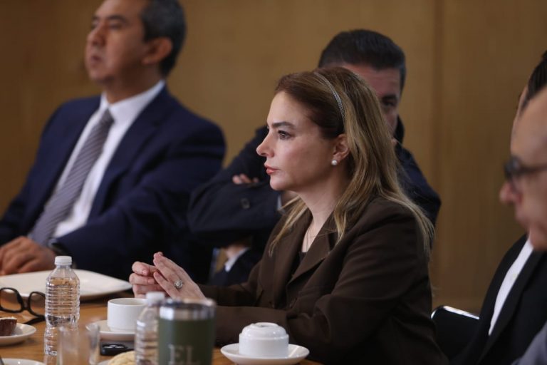 Carla Humphrey Jordan, Consejera Electoral del INE.