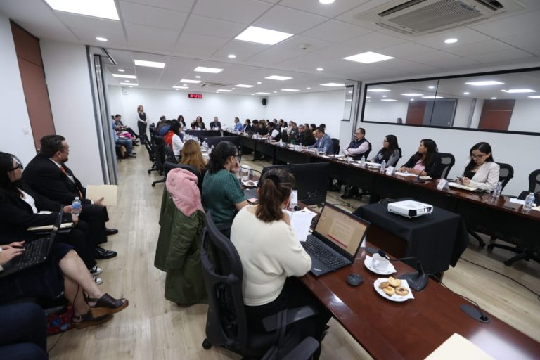 Reunión de trabajo con Vocales Ejecutivos de Capacitación Electoral y Educación Cívica, Organización Electoral y Personas Titulares de Organismos Públicos Locales