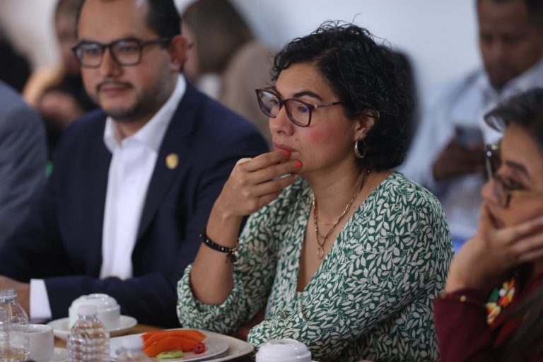 Rita Bell López, Consejera Electoral del INE.