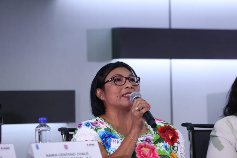 Naira Centeno Chalé, Representante de los OSC: Arkemetría Social A.C.