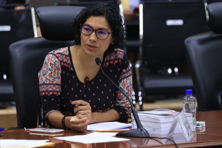 Rita Bell López Vences, Consejera Electoral.