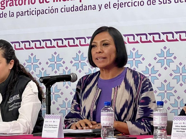 Norma Irene De La Cruz Magaña, Consejera Electoral del INE.