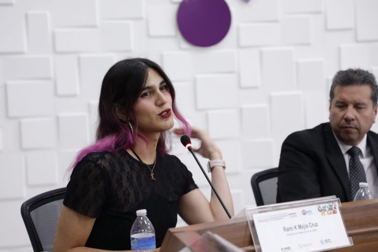 Bienvenida y Panel “El derecho al voto de las personas con discapacidad y de la diversidad sexual”.