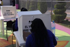 persona de espaldas votando