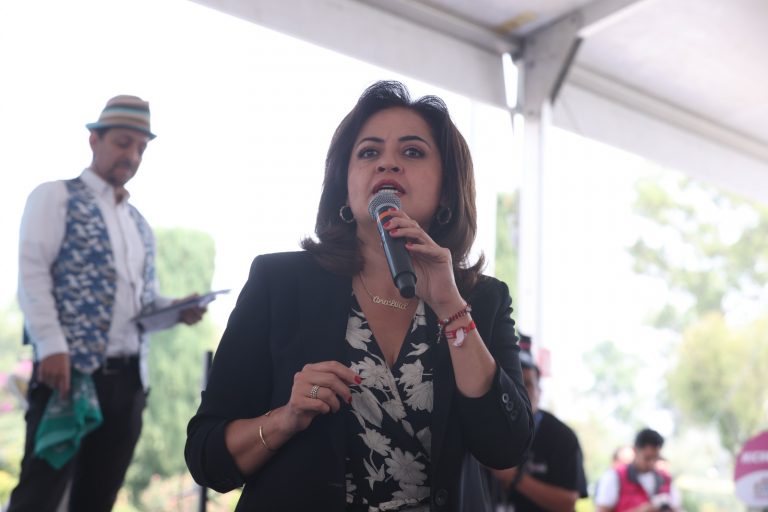 Ana Lilia Herrera Anzaldo, Diputada del PRI.