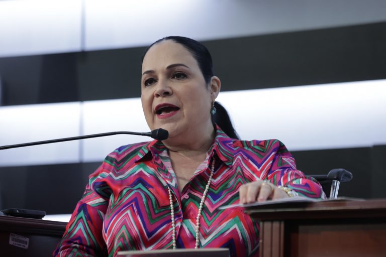 Mónica Fernández Balboa, Senadora y Presidenta de la Comisión de Gobernación.